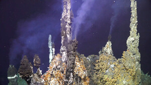 Thumbnail for Black Smoker, 2025