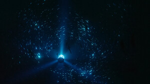 Thumbnail for Midnight Zone, 2024