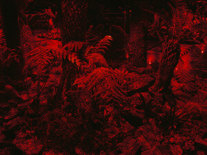 Thumbnail for Panchronic Garden